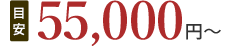 55,000円(目安)