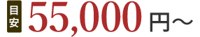 55,000円(目安)