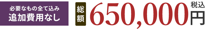 総額650,000円(税込)