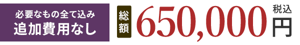 総額650,000円(税込)