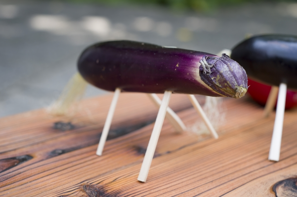 お盆の精霊馬とは？ 作り方や処分の方法など